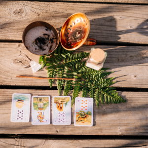 Lenormand lernen